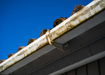 Roof and gutter buildup — example of surfaces that benefit from soft wash / roof cleaning